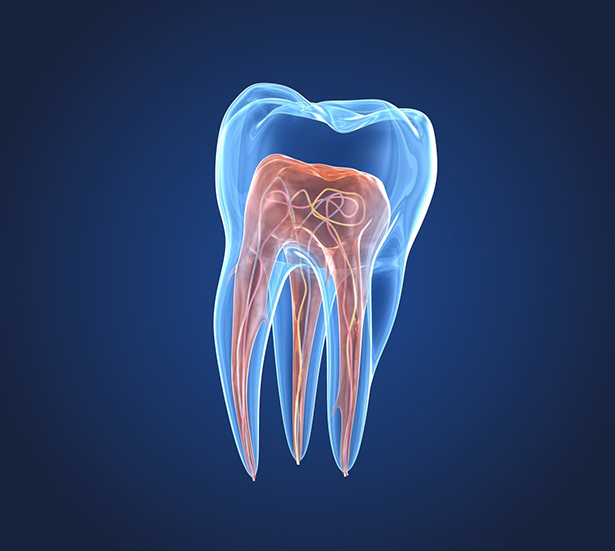 Endodonzia Roma Prati